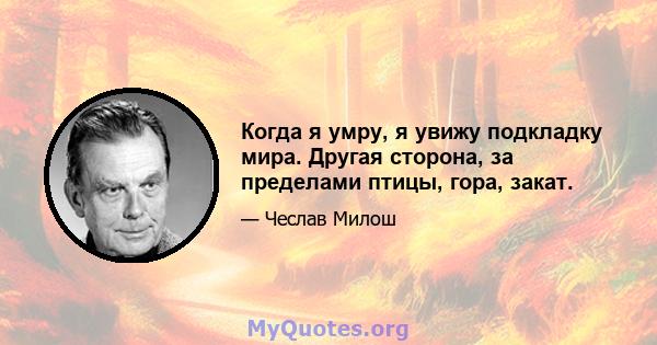 Когда я умру, я увижу подкладку мира. Другая сторона, за пределами птицы, гора, закат.