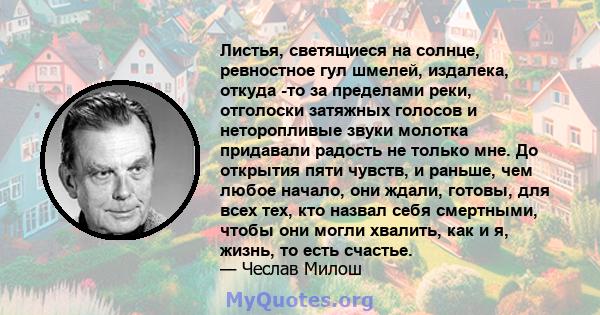 Листья, светящиеся на солнце, ревностное гул шмелей, издалека, откуда -то за пределами реки, отголоски затяжных голосов и неторопливые звуки молотка придавали радость не только мне. До открытия пяти чувств, и раньше,