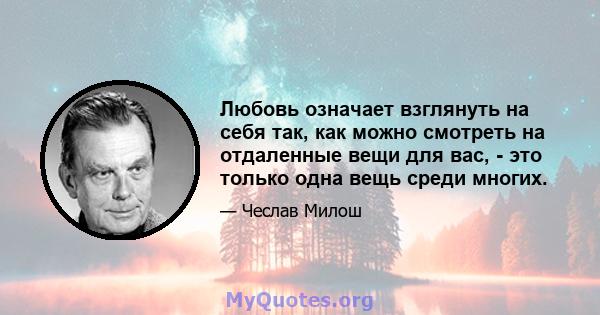 Любовь означает взглянуть на себя так, как можно смотреть на отдаленные вещи для вас, - это только одна вещь среди многих.