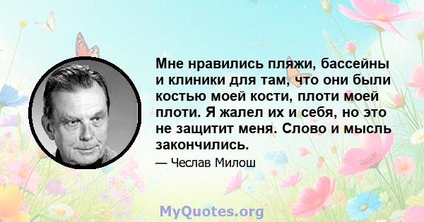 Мне нравились пляжи, бассейны и клиники для там, что они были костью моей кости, плоти моей плоти. Я жалел их и себя, но это не защитит меня. Слово и мысль закончились.