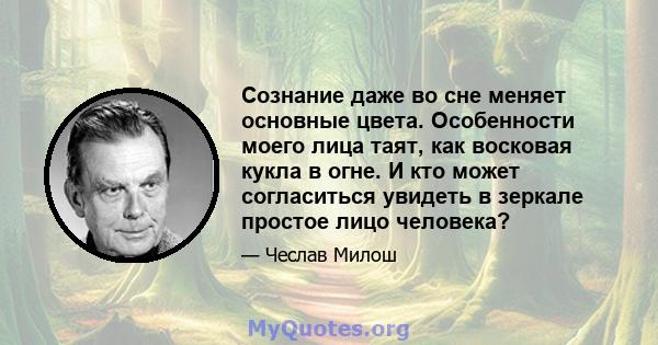 Сознание даже во сне меняет основные цвета. Особенности моего лица таят, как восковая кукла в огне. И кто может согласиться увидеть в зеркале простое лицо человека?