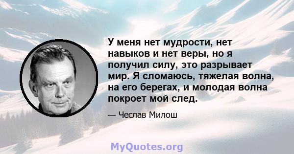 У меня нет мудрости, нет навыков и нет веры, но я получил силу, это разрывает мир. Я сломаюсь, тяжелая волна, на его берегах, и молодая волна покроет мой след.