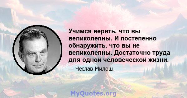 Учимся верить, что вы великолепны. И постепенно обнаружить, что вы не великолепны. Достаточно труда для одной человеческой жизни.