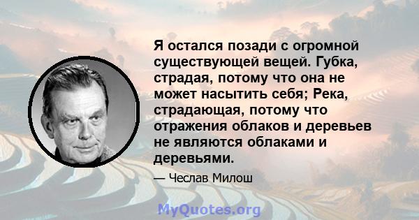 Я остался позади с огромной существующей вещей. Губка, страдая, потому что она не может насытить себя; Река, страдающая, потому что отражения облаков и деревьев не являются облаками и деревьями.