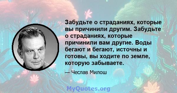 Забудьте о страданиях, которые вы причинили другим. Забудьте о страданиях, которые причинили вам другие. Воды бегают и бегают, источны и готовы, вы ходите по земле, которую забываете.