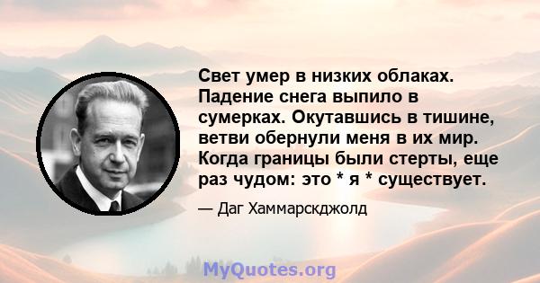 Свет умер в низких облаках. Падение снега выпило в сумерках. Окутавшись в тишине, ветви обернули меня в их мир. Когда границы были стерты, еще раз чудом: это * я * существует.