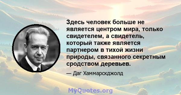 Здесь человек больше не является центром мира, только свидетелем, а свидетель, который также является партнером в тихой жизни природы, связанного секретным сродством деревьев.