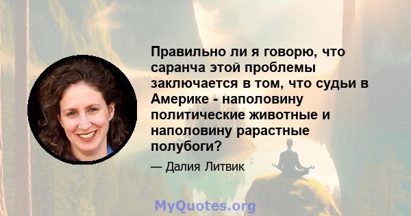 Правильно ли я говорю, что саранча этой проблемы заключается в том, что судьи в Америке - наполовину политические животные и наполовину рарастные полубоги?