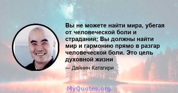 Вы не можете найти мира, убегая от человеческой боли и страданий; Вы должны найти мир и гармонию прямо в разгар человеческой боли. Это цель духовной жизни