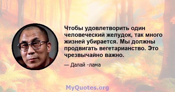 Чтобы удовлетворить один человеческий желудок, так много жизней убирается. Мы должны продвигать вегетарианство. Это чрезвычайно важно.