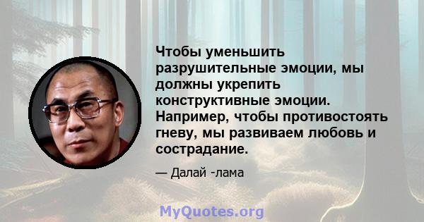 Чтобы уменьшить разрушительные эмоции, мы должны укрепить конструктивные эмоции. Например, чтобы противостоять гневу, мы развиваем любовь и сострадание.