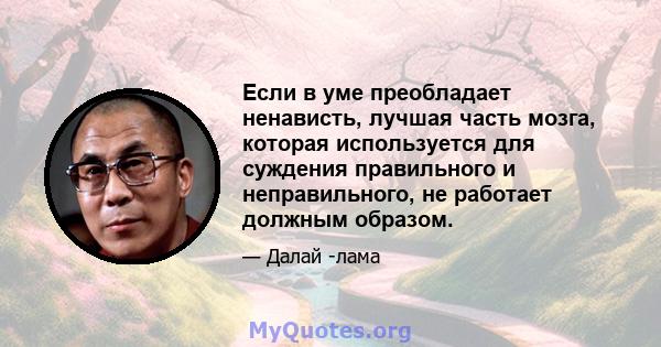 Если в уме преобладает ненависть, лучшая часть мозга, которая используется для суждения правильного и неправильного, не работает должным образом.