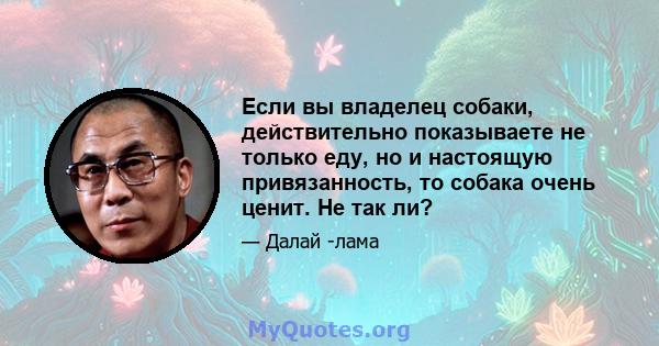 Если вы владелец собаки, действительно показываете не только еду, но и настоящую привязанность, то собака очень ценит. Не так ли?