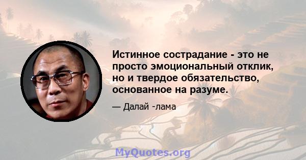 Истинное сострадание - это не просто эмоциональный отклик, но и твердое обязательство, основанное на разуме.