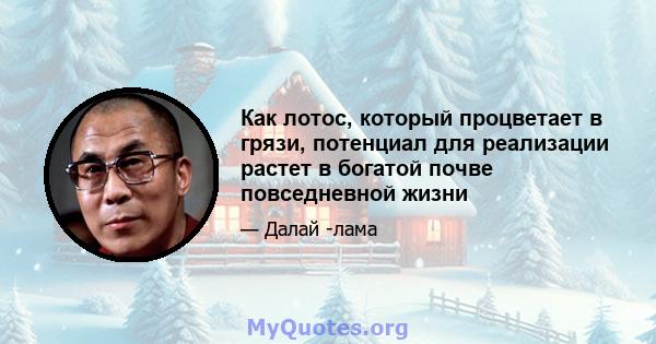 Как лотос, который процветает в грязи, потенциал для реализации растет в богатой почве повседневной жизни