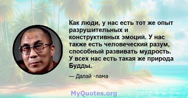 Как люди, у нас есть тот же опыт разрушительных и конструктивных эмоций. У нас также есть человеческий разум, способный развивать мудрость. У всех нас есть такая же природа Будды.