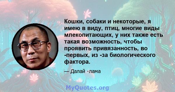 Кошки, собаки и некоторые, я имею в виду, птиц, многие виды млекопитающих, у них также есть такая возможность, чтобы проявить привязанность, во -первых, из -за биологического фактора.