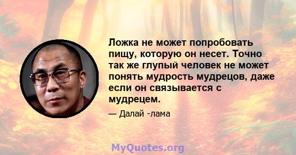 Ложка не может попробовать пищу, которую он несет. Точно так же глупый человек не может понять мудрость мудрецов, даже если он связывается с мудрецем.