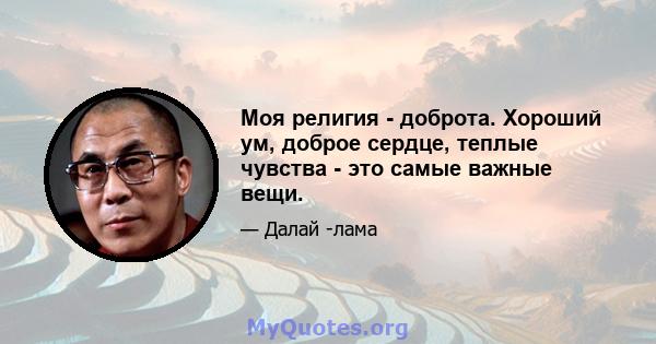 Моя религия - доброта. Хороший ум, доброе сердце, теплые чувства - это самые важные вещи.