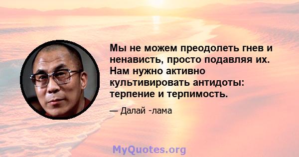 Мы не можем преодолеть гнев и ненависть, просто подавляя их. Нам нужно активно культивировать антидоты: терпение и терпимость.