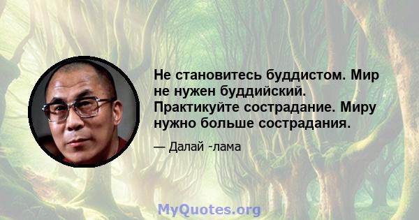 Не становитесь буддистом. Мир не нужен буддийский. Практикуйте сострадание. Миру нужно больше сострадания.