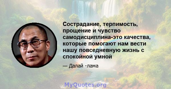 Сострадание, терпимость, прощение и чувство самодисциплина-это качества, которые помогают нам вести нашу повседневную жизнь с спокойной умной