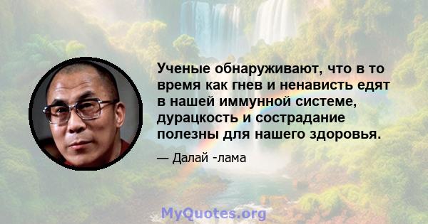 Ученые обнаруживают, что в то время как гнев и ненависть едят в нашей иммунной системе, дурацкость и сострадание полезны для нашего здоровья.