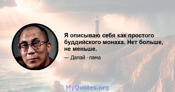 Я описываю себя как простого буддийского монаха. Нет больше, не меньше.