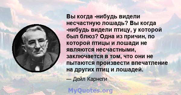 Вы когда -нибудь видели несчастную лошадь? Вы когда -нибудь видели птицу, у которой был блюз? Одна из причин, по которой птицы и лошади не являются несчастными, заключается в том, что они не пытаются произвести