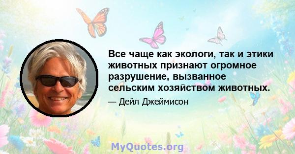 Все чаще как экологи, так и этики животных признают огромное разрушение, вызванное сельским хозяйством животных.