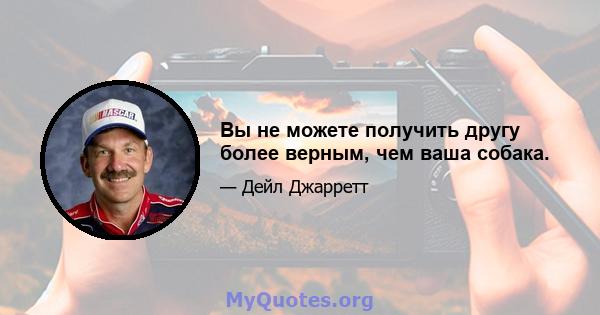 Вы не можете получить другу более верным, чем ваша собака.