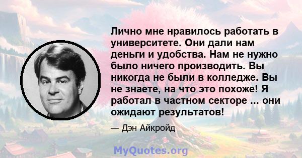 Лично мне нравилось работать в университете. Они дали нам деньги и удобства. Нам не нужно было ничего производить. Вы никогда не были в колледже. Вы не знаете, на что это похоже! Я работал в частном секторе ... они