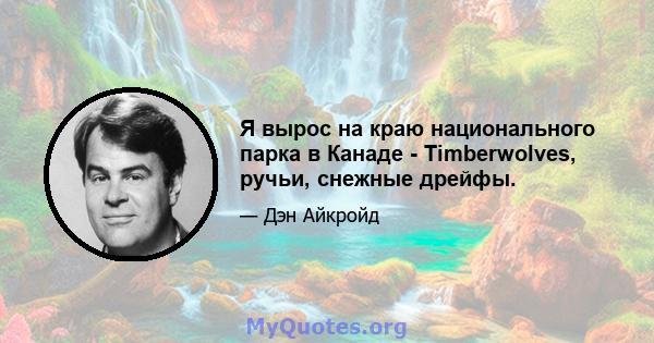 Я вырос на краю национального парка в Канаде - Timberwolves, ручьи, снежные дрейфы.