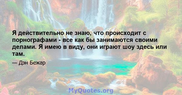 Я действительно не знаю, что происходит с порнографами - все как бы занимаются своими делами. Я имею в виду, они играют шоу здесь или там.