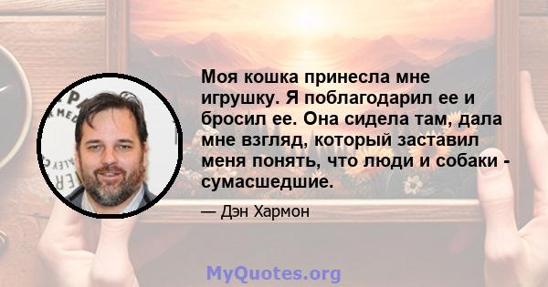 Моя кошка принесла мне игрушку. Я поблагодарил ее и бросил ее. Она сидела там, дала мне взгляд, который заставил меня понять, что люди и собаки - сумасшедшие.