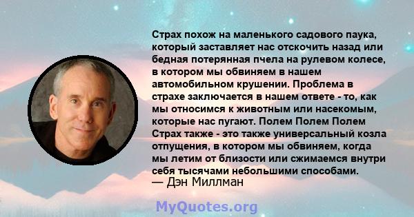 Страх похож на маленького садового паука, который заставляет нас отскочить назад или бедная потерянная пчела на рулевом колесе, в котором мы обвиняем в нашем автомобильном крушении. Проблема в страхе заключается в нашем 