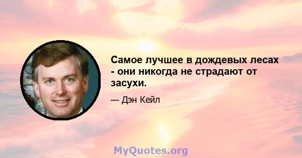 Самое лучшее в дождевых лесах - они никогда не страдают от засухи.