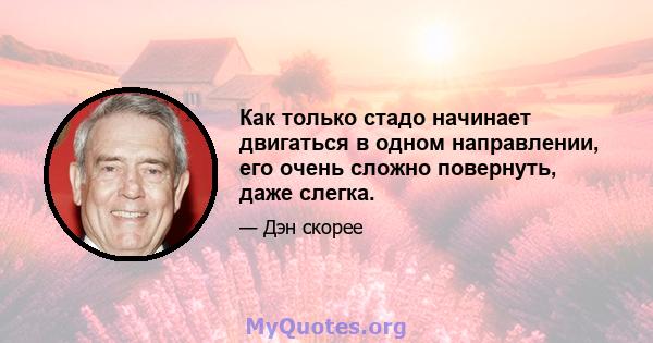 Как только стадо начинает двигаться в одном направлении, его очень сложно повернуть, даже слегка.