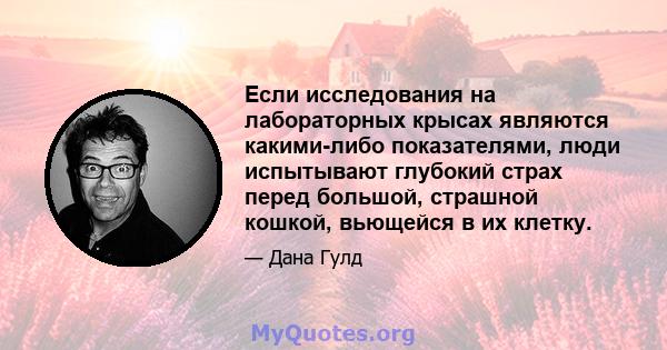 Если исследования на лабораторных крысах являются какими-либо показателями, люди испытывают глубокий страх перед большой, страшной кошкой, вьющейся в их клетку.