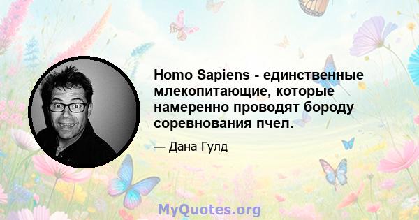 Homo Sapiens - единственные млекопитающие, которые намеренно проводят бороду соревнования пчел.