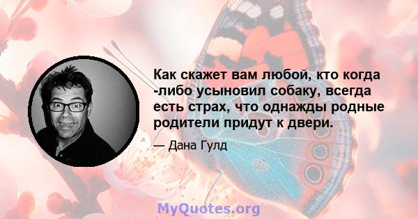 Как скажет вам любой, кто когда -либо усыновил собаку, всегда есть страх, что однажды родные родители придут к двери.