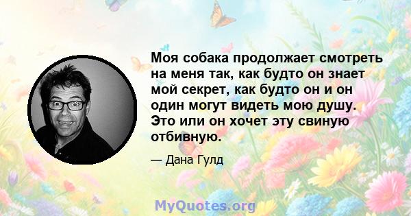 Моя собака продолжает смотреть на меня так, как будто он знает мой секрет, как будто он и он один могут видеть мою душу. Это или он хочет эту свиную отбивную.