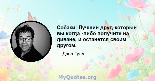 Собаки: Лучший друг, который вы когда -либо получите на диване, и останется своим другом.