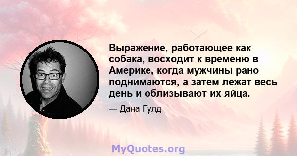 Выражение, работающее как собака, восходит к временю в Америке, когда мужчины рано поднимаются, а затем лежат весь день и облизывают их яйца.