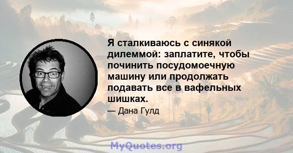 Я сталкиваюсь с синякой дилеммой: заплатите, чтобы починить посудомоечную машину или продолжать подавать все в вафельных шишках.