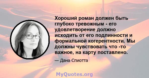 Хороший роман должен быть глубоко тревожным - его удовлетворение должно исходить от его подлинности и формальной когерентности. Мы должны чувствовать что -то важное, на карту поставлено.