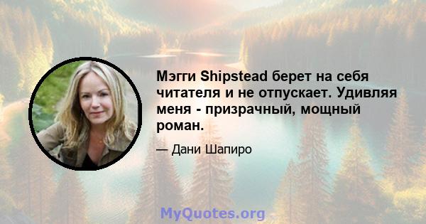 Мэгги Shipstead берет на себя читателя и не отпускает. Удивляя меня - призрачный, мощный роман.