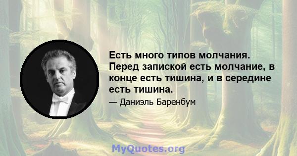 Есть много типов молчания. Перед запиской есть молчание, в конце есть тишина, и в середине есть тишина.