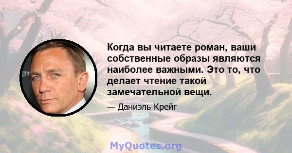 Когда вы читаете роман, ваши собственные образы являются наиболее важными. Это то, что делает чтение такой замечательной вещи.