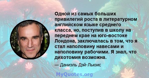 Одной из самых больших привилегий роста в литературном английском языке среднего класса, но, поступив в школу на переднем крае на юго-востоке Лондона, заключалась в том, что я стал наполовину навесами и наполовину